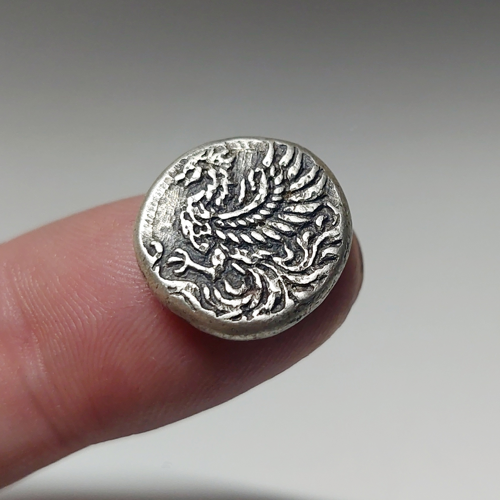 5g Phoenix reverse